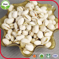 Pistachio Nuts with Shell -High Qaulity Raw Pistachios in Bulk